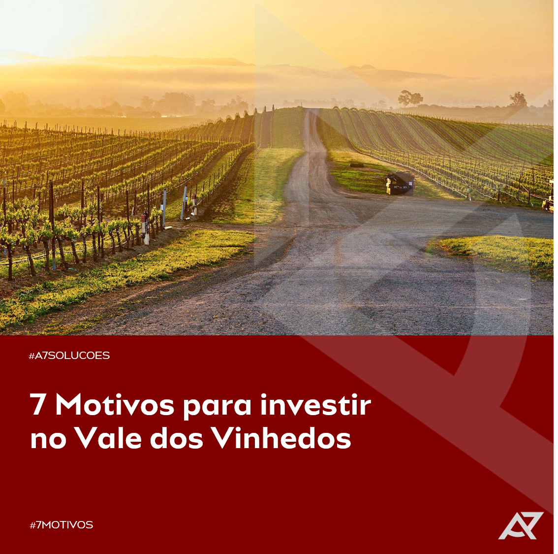 No momento, você está visualizando 7 Motivos para Investir no Vale dos Vinhedos