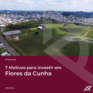 Leia mais sobre o artigo 7 Motivos para investir em Flores da Cunha